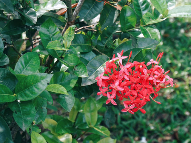 Seasonal Flower Gardens: Where Scenery Changes With Every Visit Seasonal Flower Gardens: Where Scenery Changes With Every Visit