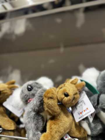 維多利亞大廈打卡🔥 悉尼百年古堡商場，走入宮崎駿動畫！