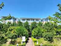 ⛲Waterside Dream⛲