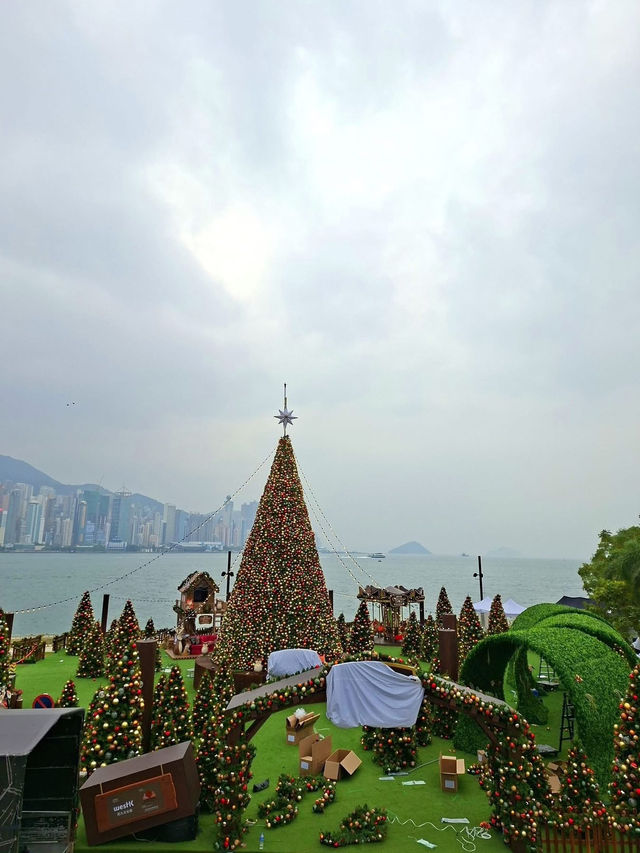 A Crystalline Dream in the Urban Heart: WestK Christmas Forest 2025 A Crystalline Dream in the Urban Heart: WestK Christmas Forest 2025