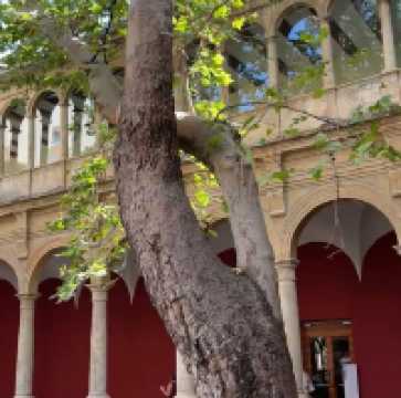 CCCC – Valencia’s Hub of Contemporary Creativity