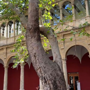 CCCC – Valencia’s Hub of Contemporary Creativity