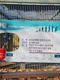 🐯동물들을 사랑하는 동물원 청주랜드동물원 다녀오기🦁