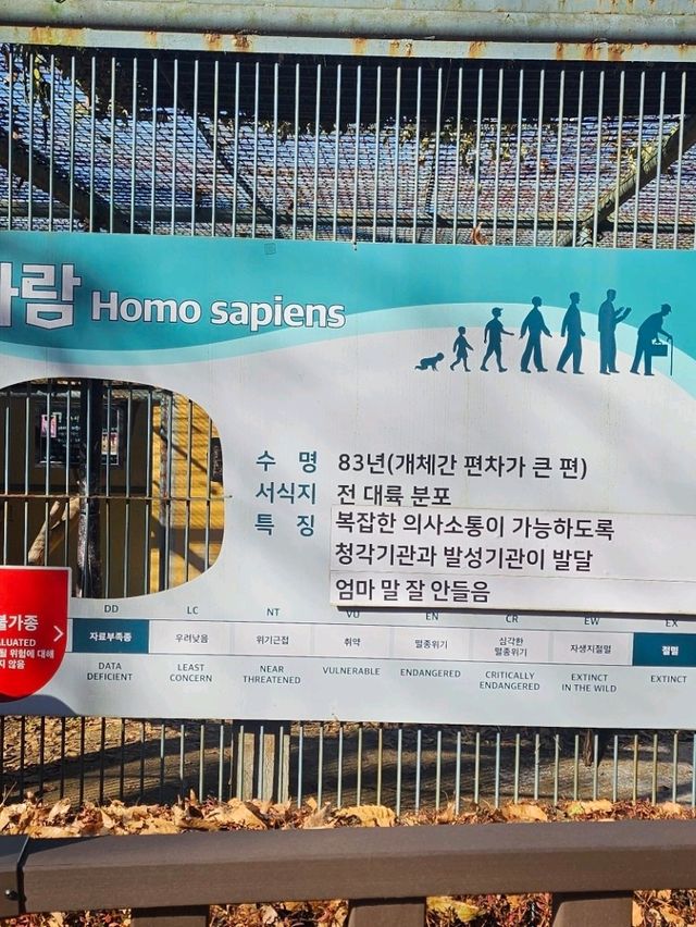 🐯동물들을 사랑하는 동물원 청주랜드동물원 다녀오기🦁 🐯동물들을 사랑하는 동물원 청주랜드동물원 다녀오기🦁