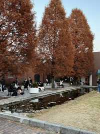 Christmassy Autumn in Noritake Garden, Nagoya 🍁🎄