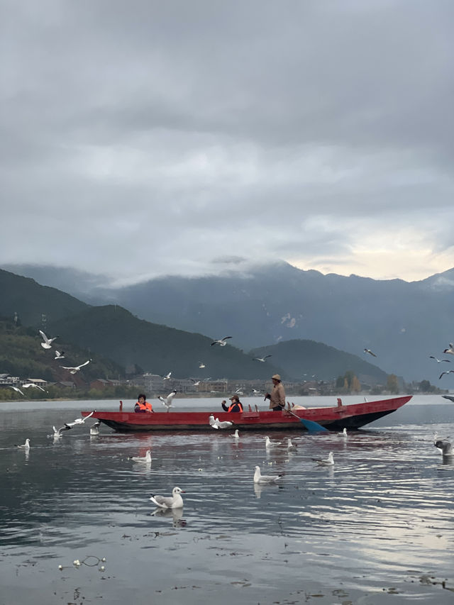 瀘沽湖晨霧|霧裡的湖光與水性楊花 瀘沽湖晨霧|霧裡的湖光與水性楊花