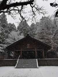 用雙眼、雙腳走進北海道的雪白世界裡