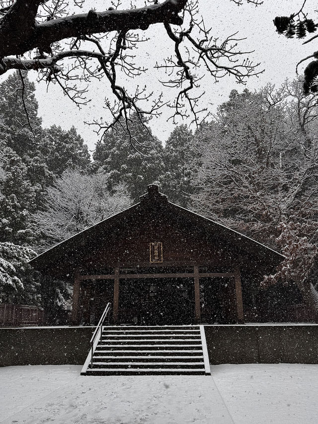 用雙眼、雙腳走進北海道的雪白世界裡