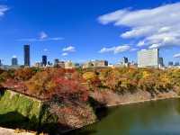 大阪｜連兩年造訪大阪城 看秋日銀杏與楓紅的別樣美感