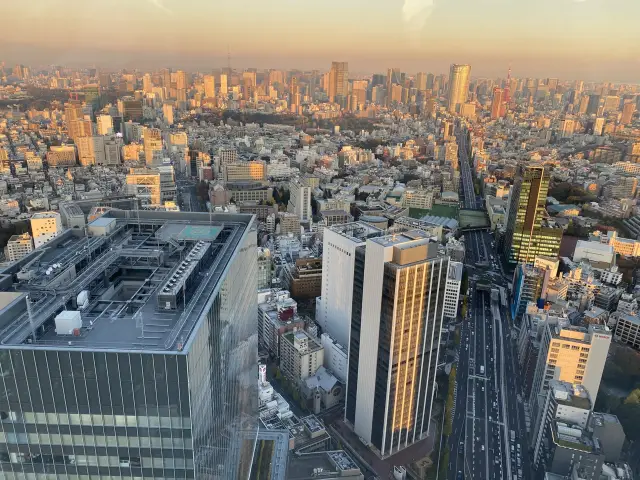 Shibuya Sky: วิวโตเกียว360 องศาที่ปังที่สุด สวยมาก