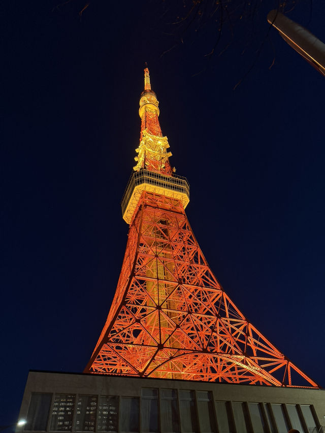 Tokyo Tower: Sunset Vibes & City Lights 🌆✨