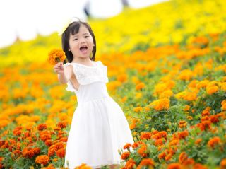 無敵影相靚景- 北海道（富田農場，雲海，蜜瓜滿載）