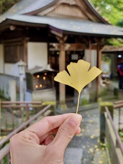 運試しをしたいなら南蔵院へ。 | Trip.com 篠栗町
