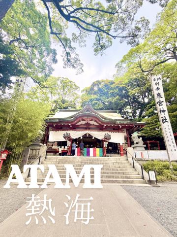 熱海】樹齢2000年超えの大木があるパワースポット | Trip.com 熱海