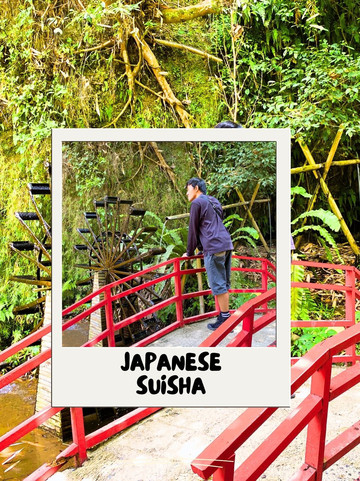 バンドンの「The Great Asia Africa」で休日を満喫。 | Trip.com レムバン