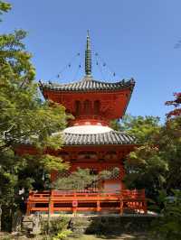 JR Kansai–Hiroshima Area Pass คุ้มไหม?