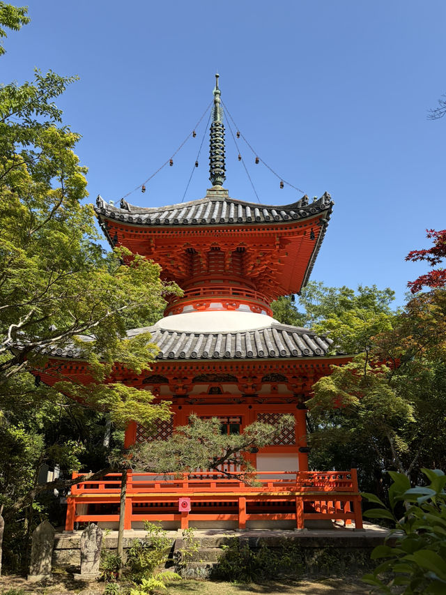 JR Kansai–Hiroshima Area Pass คุ้มไหม?