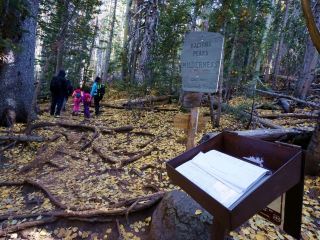 🍂【亞利桑那最高峰】Humphreys Peak 秋季徒步｜闖入金黃交織的童話秘境 ✨🥾