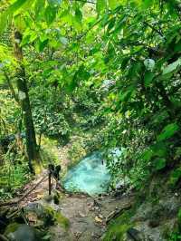 Kolam Abadi – Samosir's Hidden Jungle Paradise