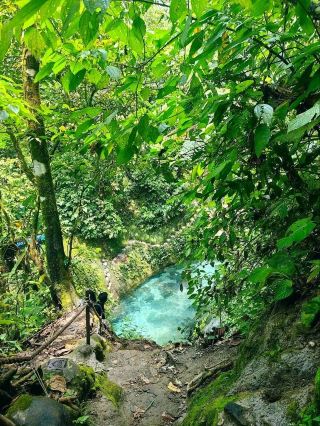 Kolam Abadi – Samosir's Hidden Jungle Paradise