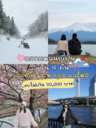 5-day, 4-night Japan itinerary 🇯🇵 See snow, cherry blossoms, and Mount Fuji for under 20,000 baht! ❄️🌸🗻