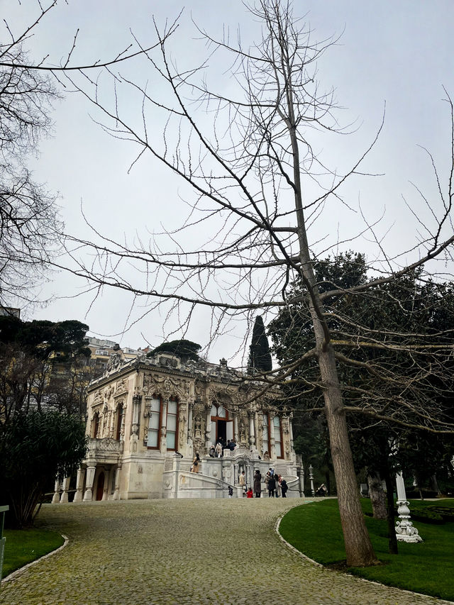 🌸 📸 EVERYTHING YOU NEED TO KNOW TO SEE MAGNOLIA BLOSSOMS IN İHLAMUR KASRI