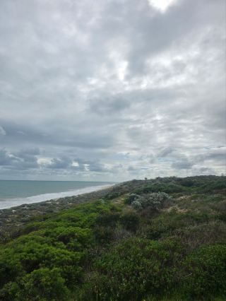 Ready for a hidden Western Australia coast escape? 🤩 Guilderton is underrated, but the Moore River Estuary is next-level for chill river vibes, wild beauty, and endless Aussie skies.  

Must-See Spot:  
· Moore River Estuary (Moore River Dr, Caraban WA 6041)  
This is the main event! Open 24/7, all year round—so come sunrise or sunset. Paddle a kayak, swim in calm, clear waters, or spot pelicans and little fish right from the riverbank. The sandbar (where river meets ocean) is surreal for photos and super unique—low tide makes a natural playground for all ages.  

Tip: Guilderton fills with locals on weekends, but midweek you’ll have the river nearly to yourself. Bring a picnic, beach shade, and loads of sunscreen—the sun is intense and facilities are few. There’s usually an ice cream truck at the car park; cash makes life easier.  

Getting Around:  
Guilderton is a tiny town—park at Moore River carpark and walk everywhere. If you’re driving from Perth, it’s about 1.5 hours north (easy highway).  

Food:  
No big supermarkets! Pack your own snacks or stop by the Guilderton General Store for classic Aussie meat pies and cold drinks.  

Pro Tips:  
· The river is tidal, so watch currents if kids are swimming.  
· Bring mosquito repellent at dusk—trust me.  
· No entry fee and free parking.  

#MooreRiver  #Guilderton  #AustralianNature  #WAGetaways 