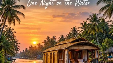 🇮🇳 Sleep on the Water in Kerala: A Night in the Backwaters 🛶🌴 — traveler post in Kochi