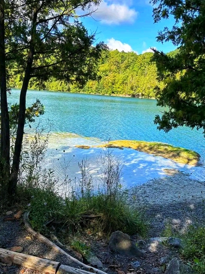 Surga Alam Tersembunyi: Menjelajahi Keindahan Hijau Zamrud di Green Lakes State Park