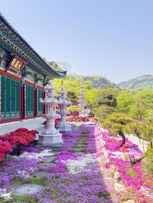 녹음짙은 공주 여행지 추천💚