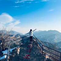 🐲⛩️🏔️  The Great Wall 🏔️⛩️🐲