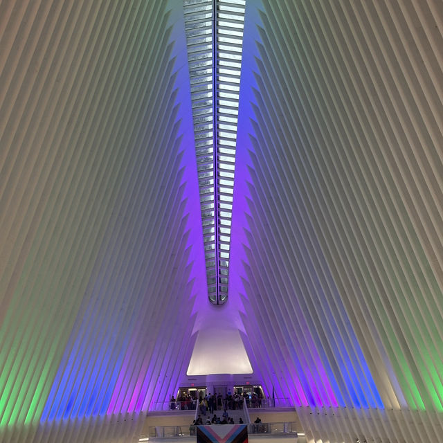 A Whirlwind Tour of New York City