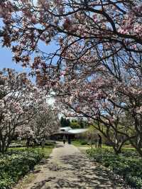 ナイアガラの滝｜圧巻のスケールを誇る世界的観光スポット