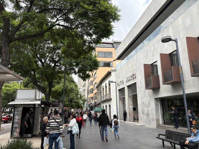 One Perfect Day in Mexico City: Pyramids, Polanco & Chinatown Flavors