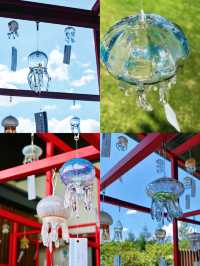 🪼人生清單＋1：京都水族館真的值得衝！ 