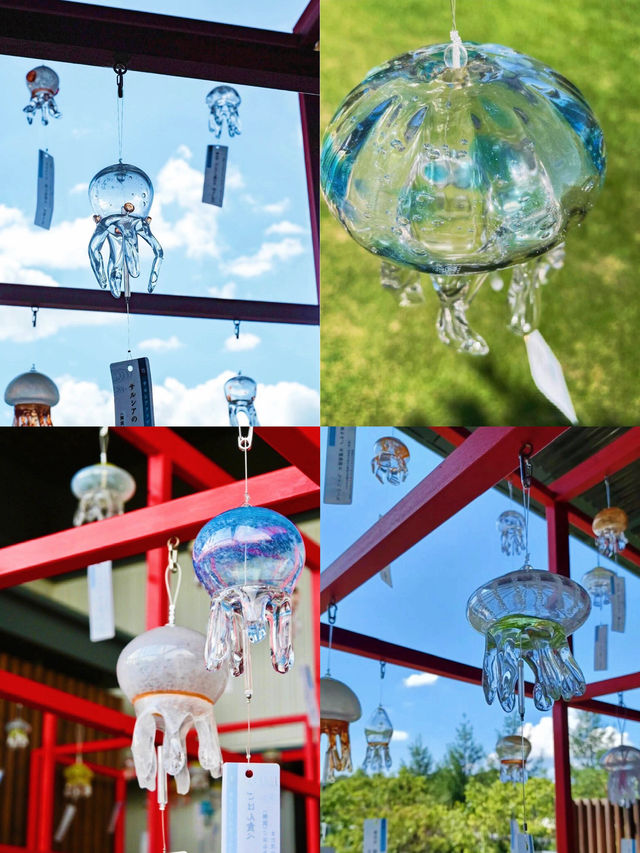 🪼人生清單＋1：京都水族館真的值得衝！ 