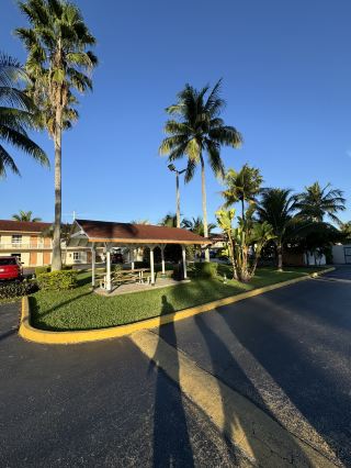 아름다운 마이애미