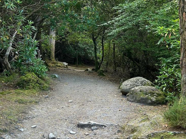 Nice walk to Torc Waterfall 🗺️