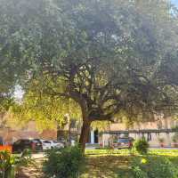 East African Slave Trade Museum