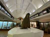 Cultural Oasis: Horniman Museum's Embrace 🏛️
