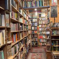 Literary Haven: A Journey Through Books