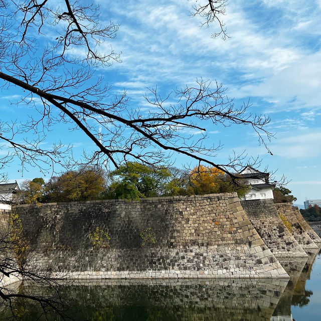 Osaka Castle 🏛️