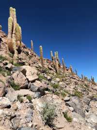 Stargazing in Atacama's Desert Sky