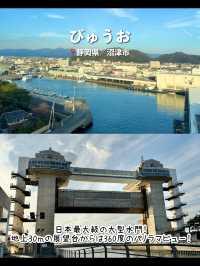【静岡】沼津のおすすめ観光スポット7選🐟