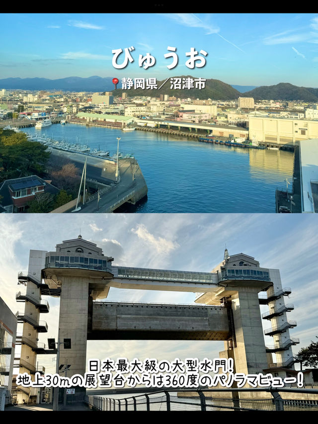 【静岡】沼津のおすすめ観光スポット7選🐟