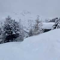 A Premier Destination for Alpine Events ❄️