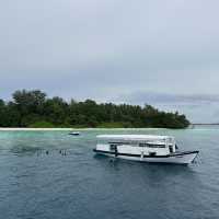 Snorkeling in Maldives is AMAZING!