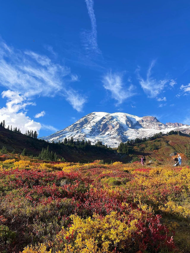 가을에는 마운트 레이니어 국립공원(Mount Rainier National Park)을 방문하세요