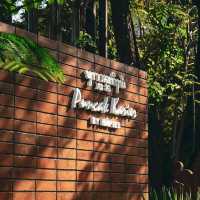PUNCAK KARIER