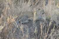 The 2 Days Of The Best Safari Adventure